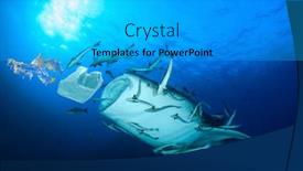  Presentation with ocean shark - PPT theme with plastic-pollutes-the-ocean-whale background and a light gray colored foreground