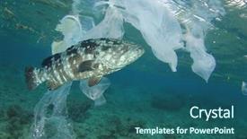  Presentation with fish ocean - Presentation consisting of plastic pollution and fish plastic background and a ocean colored foreground