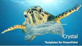  Presentation with jellyfish - Presentation theme having plastic pollution environmental problem turtles background and a teal colored foreground