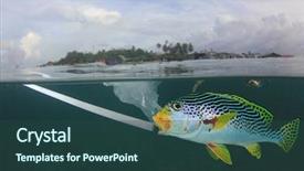  Presentation with ocean pollution - Beautiful PPT theme featuring plastic pollution in ocean is backdrop and a ocean colored foreground