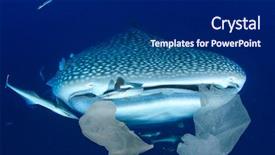 Presentation with sharks - Audience pleasing presentation design consisting of plastic pollution in ocean threatens backdrop and a dark gray colored foreground