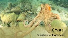  Presentation with octopus - Presentation theme having plastic pollution in ocean background and a yellow colored foreground