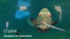  Presentation with fish ocean - Presentation with plastic-pollution-in-ocean background and a ocean colored foreground