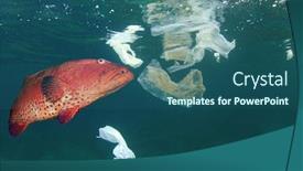  Presentation with fish ocean - Presentation design consisting of plastic-pollution-in-ocean background and a ocean colored foreground