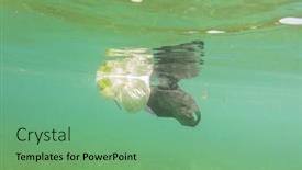  Presentation with sea plastic - 