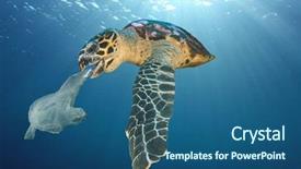  Presentation with turtle - Amazing PPT layouts having plastic pollution problem - turtle eats backdrop and a ocean colored foreground