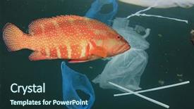  Presentation with plastic pollution - Presentation with plastic pollution problem fish swimming background and a ocean colored foreground