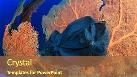  Presentation with plastic pollution - Amazing PPT layouts having plastic pollution problem plastic bag backdrop and a tawny brown colored foreground