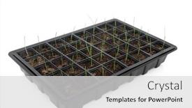  Presentation with sustainable food - Slide deck consisting of plastic-seed-tray-with-baby background and a light gray colored foreground