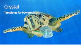  Presentation with turtle - Cool new slide set with plastic straw and bags environment backdrop and a teal colored foreground