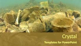  Presentation with water pollution - PPT theme featuring plastic water bottles pollution background and a tawny brown colored foreground