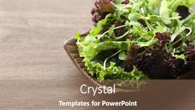  Presentation with green plate - Theme with plate-of-fresh-mixed-green background and a coral colored foreground