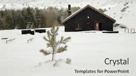 Presentation with pine - Amazing PPT layouts having refugge - young pine in snow capped backdrop and a light gray colored foreground