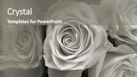  Presentation with goodbye - PPT layouts enhanced with platinum-camera reproduction conceptual photograph ' background and a gray colored foreground