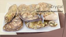  Presentation with oyster - Amazing presentation theme having platter-of-malpaque-oysters backdrop and a lemonade colored foreground
