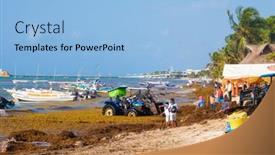  Presentation with sargassum - 