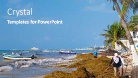  Presentation with sargassum - Beautiful presentation design featuring playa-del-carmen-mexico-april backdrop and a light blue colored foreground