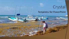  Presentation with sargassum - 