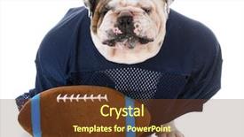  Presentation with bad - Amazing presentation design having player with a bad attitude backdrop and a tawny brown colored foreground