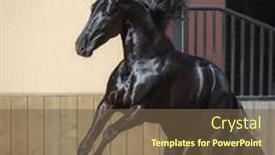  Presentation with horse - PPT layouts enhanced with playful-black-andalusian-horse-rear background and a tawny brown colored foreground