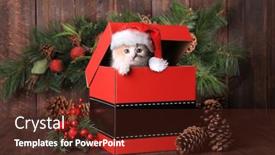  Presentation with kitten - PPT layouts featuring playful-christmas-holiday-kitten background and a tawny brown colored foreground