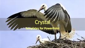  Presentation with flying angel - Beautiful slide deck featuring playgroup - stork flying away backdrop and a tawny brown colored foreground