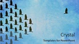  Presentation with frisbee - PPT layouts with shepherds field - australian shepherd collie jumping high background and a light blue colored foreground