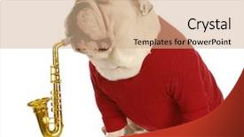  Presentation with musical instrument - PPT layouts with playing musical instrument with reflection background and a coral colored foreground