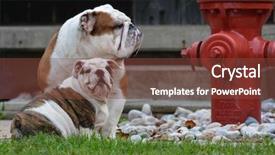  Presentation with english - Cool new slide set with playing outside by fire hydrant backdrop and a tawny brown colored foreground