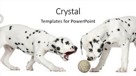  Presentation with tennis ball in the corner - Cool new theme with playing together with a tennis backdrop and a white colored foreground