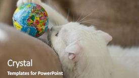  Presentation with hello kitty cute little kitten - Amazing slide deck having plays with a toy globe backdrop and a coral colored foreground