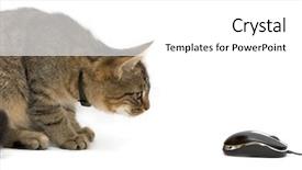  Presentation with kitten computer - Presentation design having below view of happy senior chief handshaking outdoors with partner at background of modern building background and a light gray colored foreground