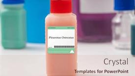  Presentation with fungus - Slide set consisting of pleurotus-ostreatus-fungus-used background and a lemonade colored foreground