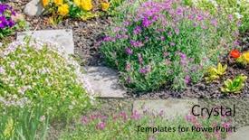  Presentation with home garden - Amazing presentation theme having plot land - beautiful home garden allotment backdrop and a seafoam green colored foreground