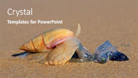  Presentation with plough - Amazing theme having plough-snail-bulliua-digitalis backdrop and a coral colored foreground