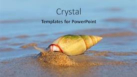  Presentation with plough - Slides with plough-snail-bulliua-digitalis background and a light blue colored foreground