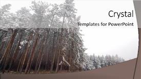  Presentation with forest winter - Presentation theme with ploughed field and forest covered background and a  colored foreground