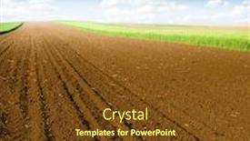  Presentation with wheat - Presentation design consisting of plowed-field-and-green-wheat background and a tawny brown colored foreground
