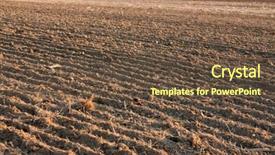  Presentation with agricultural - Amazing PPT theme having plowed soil of an agricultural backdrop and a tawny brown colored foreground