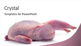  Presentation with quail bird - Amazing PPT theme having plucked quail ready for cooking backdrop and a white colored foreground