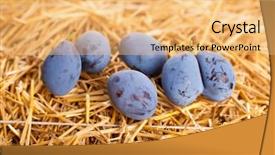  Presentation with fruit tree - Presentation design enhanced with plum fruit with original color background and a  colored foreground