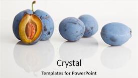  Presentation with fruit tree - Amazing presentation theme having plum fruit with original color backdrop and a  colored foreground
