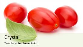  Presentation with leaf water drops fresh - Colorful PPT layouts enhanced with fresh plum tomato with basil backdrop and a soft green colored foreground