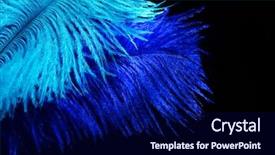  Presentation with black and blue - Audience pleasing PPT theme consisting of plumage - blue feather on black background backdrop and a navy blue colored foreground