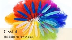  Presentation with carnival - Slide set with plumage - multicolored ostrich feathers on white background and a yellow colored foreground