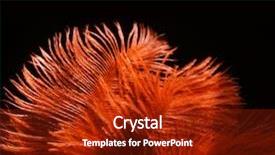  Presentation with feather - PPT theme featuring plumage - red feather on black background background and a crimson colored foreground