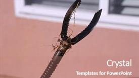  Presentation with sewer - Presentation theme with plumber unclogs a sewer drain background and a coral colored foreground