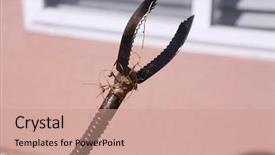  Presentation with sewer - PPT theme with plumber unclogs a sewer drain background and a coral colored foreground