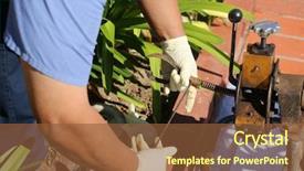  Presentation with sewer - Theme featuring plumber unclogs a sewer drain background and a tawny brown colored foreground