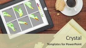  Presentation with simulation - Presentation theme enhanced with plume simulation by computer model background and a soft green colored foreground